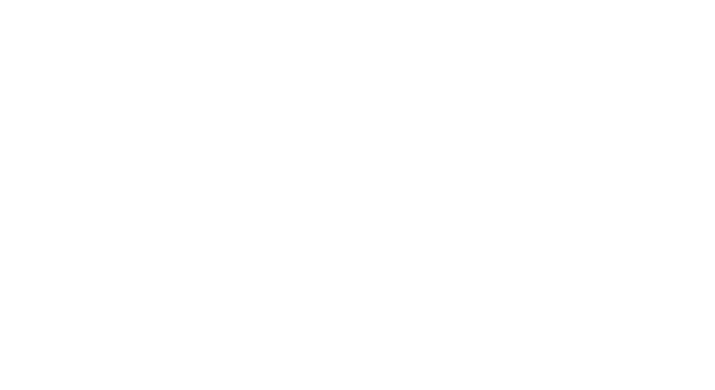 Item 21